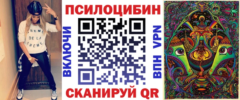 Псилоцибиновые грибы Cubensis  Лесосибирск 